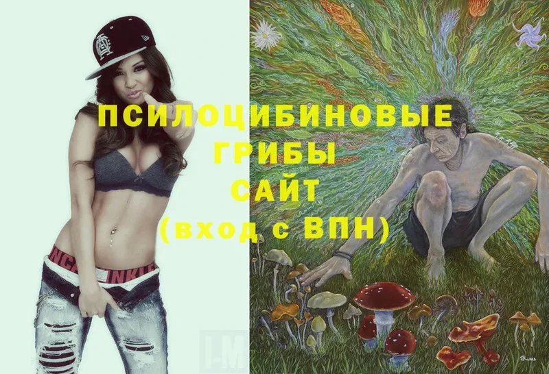 купить закладку  Гаврилов-Ям  Псилоцибиновые грибы Magic Shrooms 